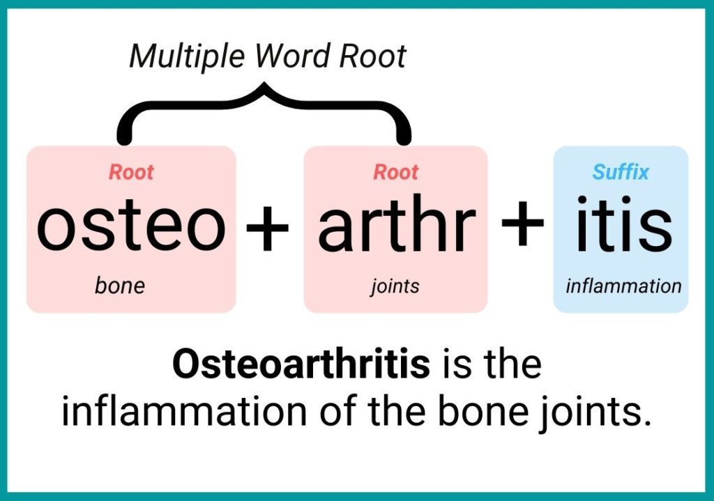 medical prefix and suffix list