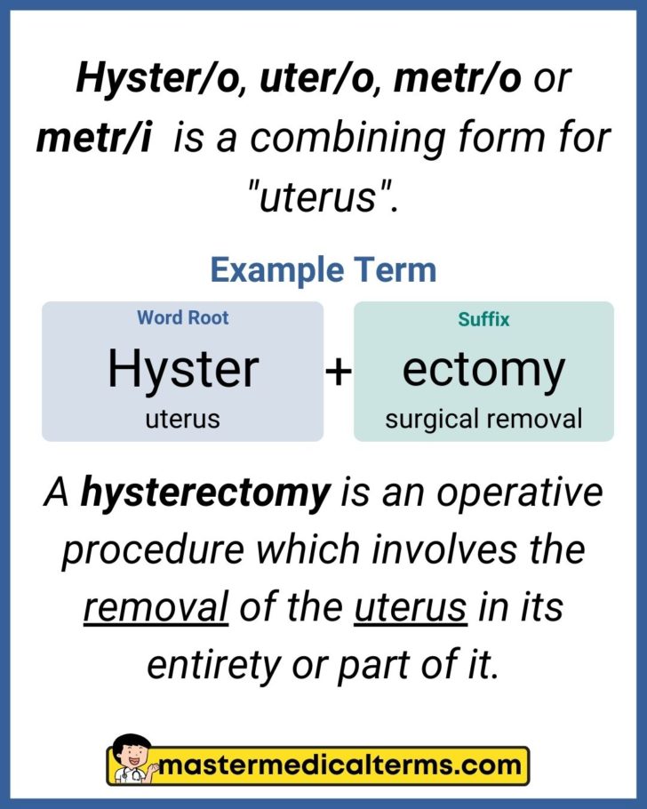 hyster-o-uter-o-metr-o-or-metr-i-master-medical-terms