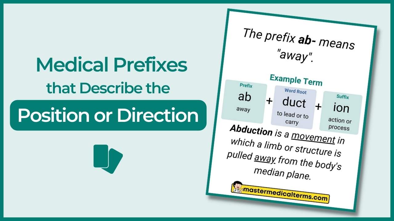 corriente deshonesto respirar Medical Prefixes that Describe the Position or Direction - Master Medical  Terms
