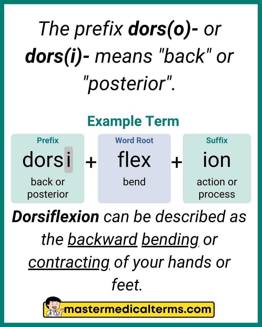 dors(o)-, dors(i)- Master Medical Terms