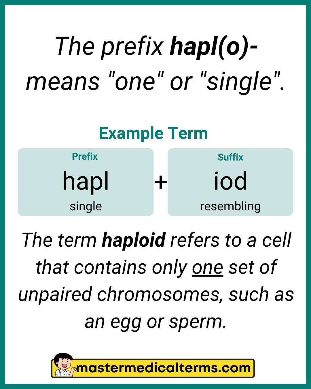 hapl(o)- Master Medical Terms