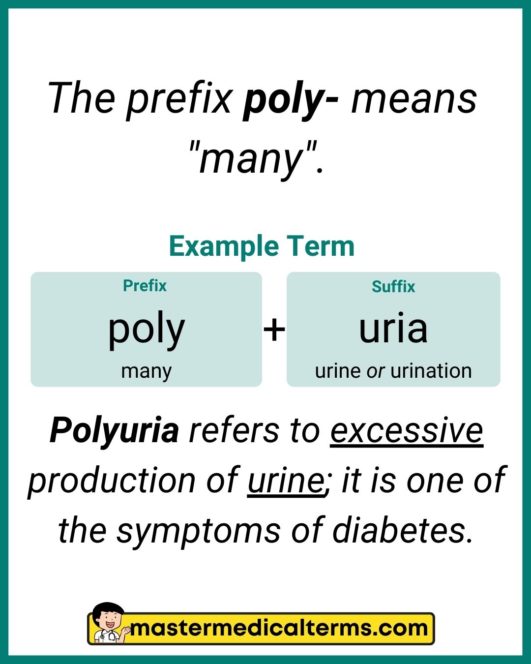 Poly Master Medical Terms poly-master-medical-terms