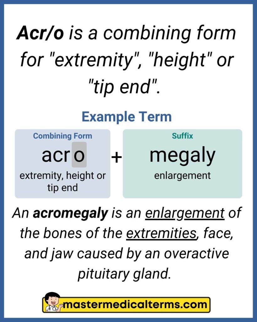 medical terminology for face