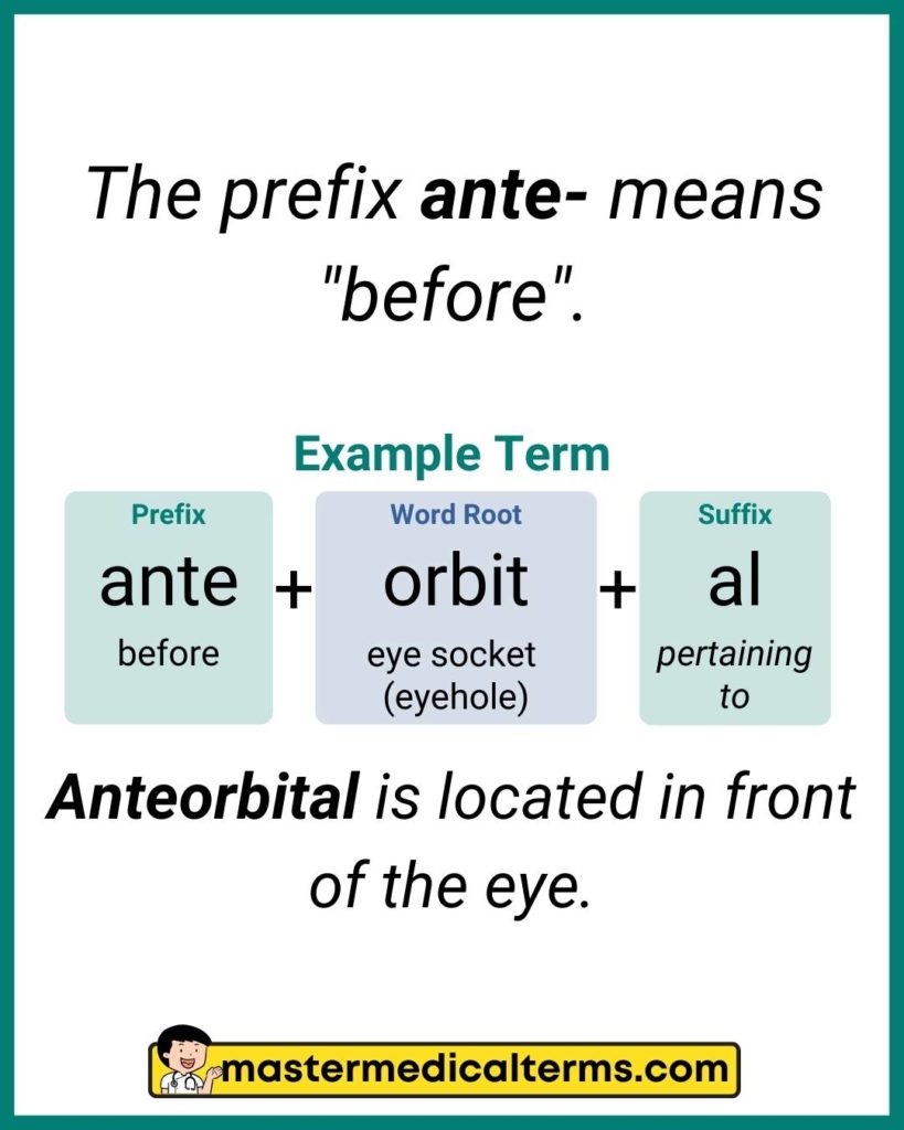 Prefixes that Describe the Time or Speed - Master Medical Terms