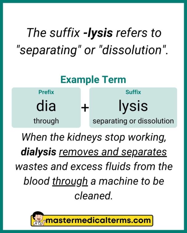 medical-prefixes-that-describe-the-position-or-direction-master