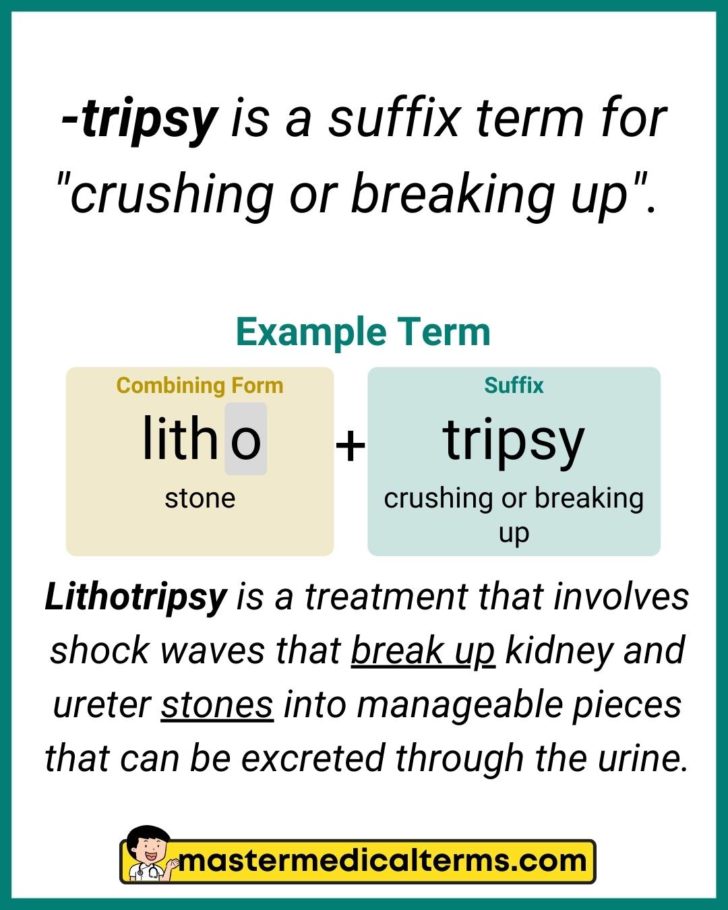 tripsy-tripsy-master-medical-terms