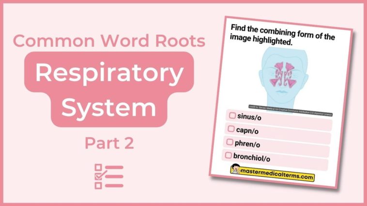 Word Roots For Respiratory System Part 2 Quiz Featured Image 758x426 
