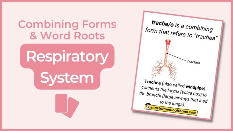 Common Word Roots For Respiratory System Flashcard Featured Image 768x432 