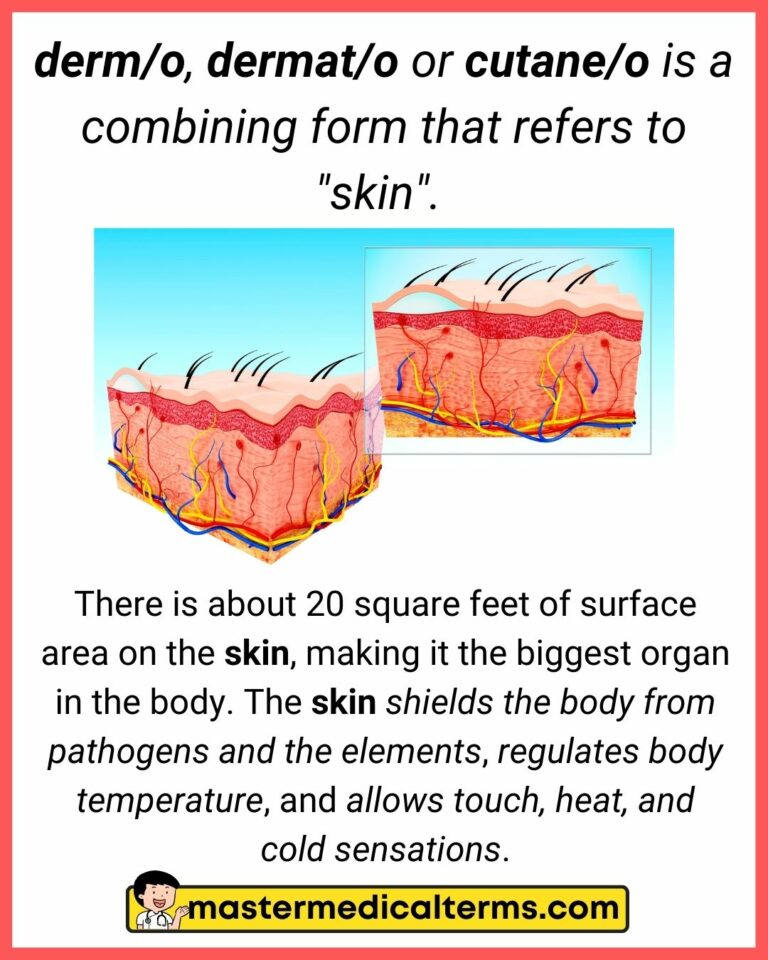 derm/o, dermat/o, cutane/o - Master Medical Terms