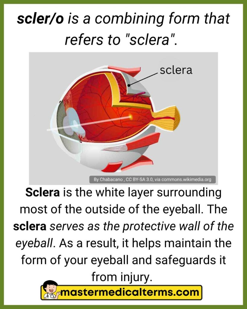 scler/o medical terminology